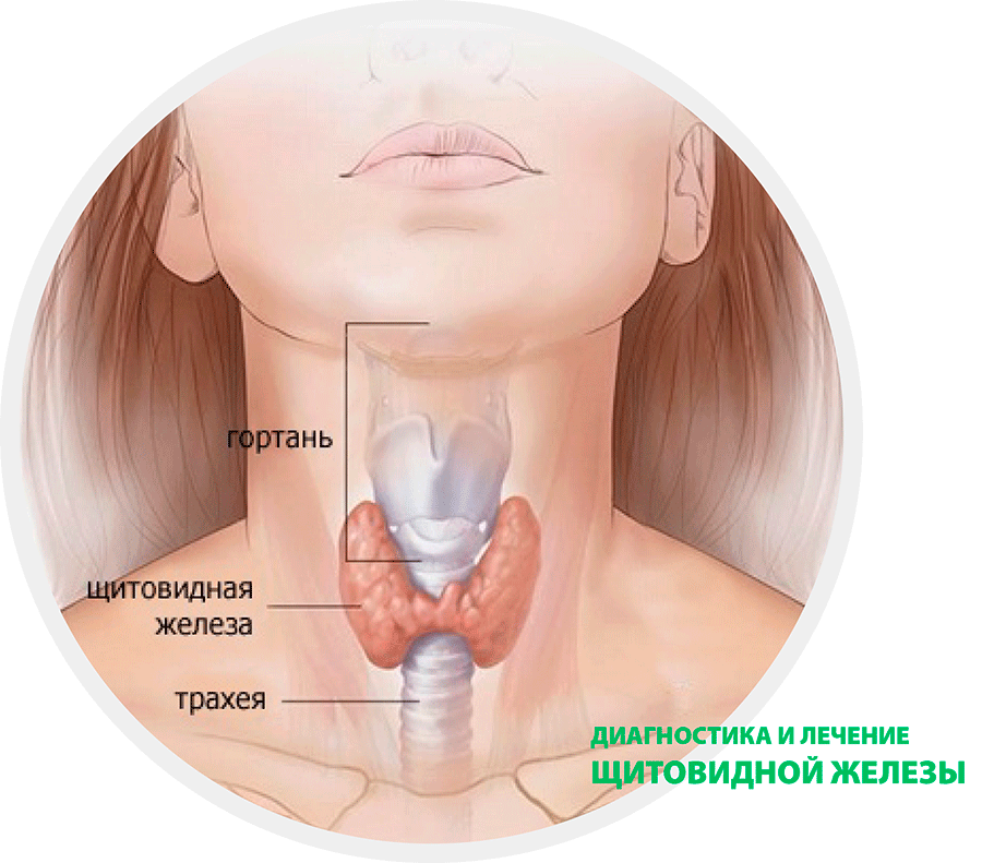 Лечение гипер/гипофункции щитовидной железы
